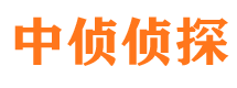 隆安侦探公司